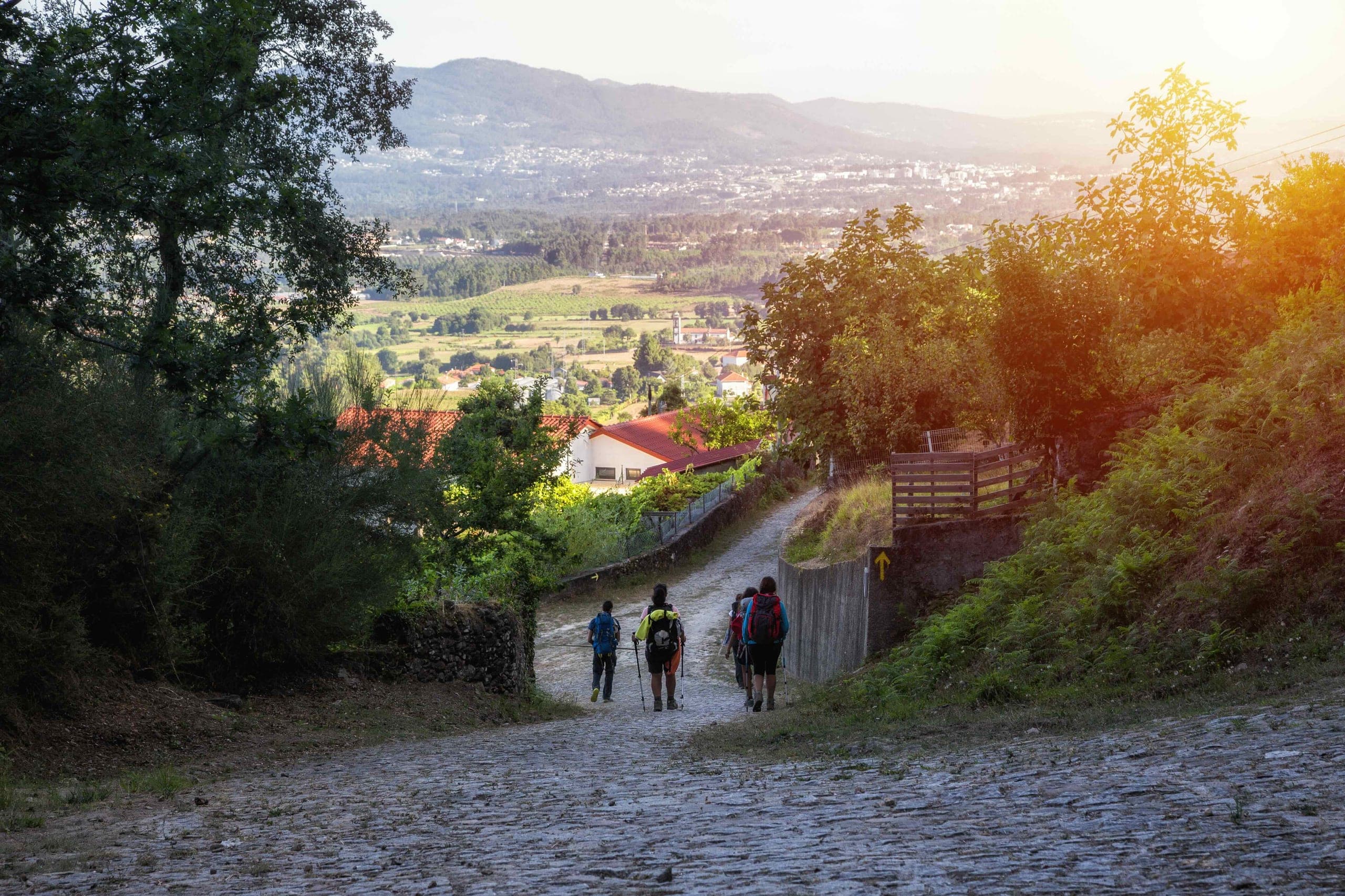 Walking the Camino