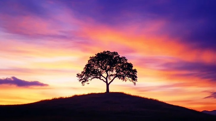 Hope is a risk that must be run.